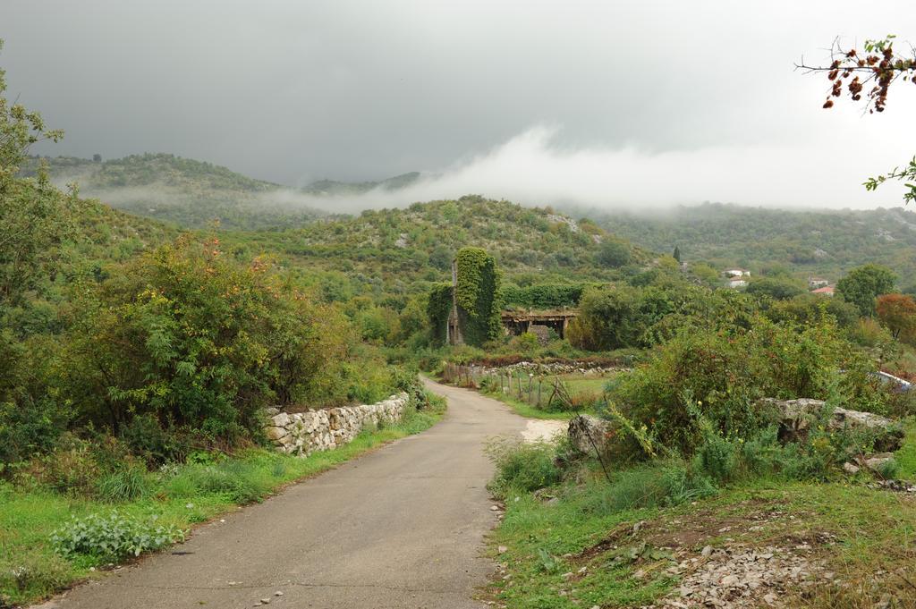 Holiday Home Skadar Lake Arbnes 객실 사진